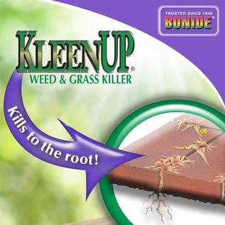 BONIDE PRODUCTS INC     P BONIDE KLEENUP HE WEED & GRASS KILLER READY-TO-USE QT