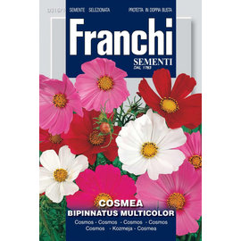 Franchi Franchi Cosmos giant mix