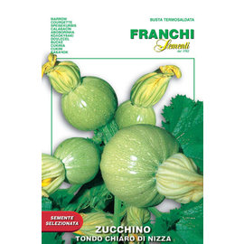 Franchi Zucchino - Tondo Chiaro  di Nizza