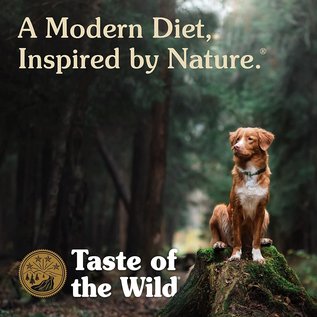 DIAMOND PET FOODS Taste of the Wild Ancient Mountain with Ancient Grains Dry Dog Food 5lb