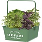 Panacea Products Square Herb Planters With Handle