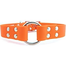 Auburn Leather Sparky's Choice Center Ring Collar 1x18 Orange