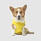 Canada Pooch Canada Pooch Torrential Tracker Yellow Rain Coat For Dogs, Size 12