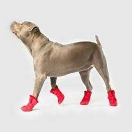 Canada Pooch CANADA POOCH WELLIES BOOTS RED X SMALL