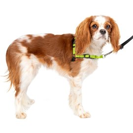 PetSafe Deluxe Easy Walk Dog Harness - Green Small