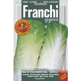 Franchi Chicory Pan di Zucchero