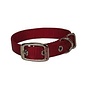 HAMILTON PET COMPANY Hamilton Nylon Dog Collar 5/8 X 12 In Red