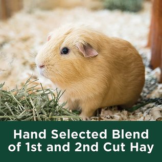 Central Garden and Pet KAYTEE TIMOTHY HAY PLUS CARROT 24 OZ
