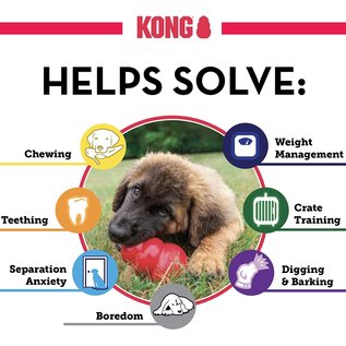 KONG DOG TOY SMALL