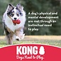 KONG EXTREME FLYER TOY FOR DOGS LARGE