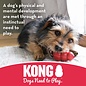 KONG COMPANY KONG - Goodie Bone - Durable Rubber Chew Bone Red Medium