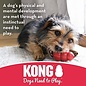 KONG COMPANY KONG - Goodie Bone - Durable Rubber Chew Bone Red Small