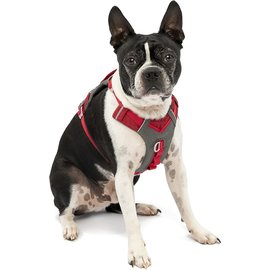 Kurgo Journey Air Harness red Sm