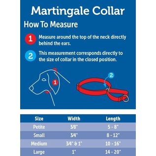 PETSAFE - GENERAL PetSafe Adjustable Martingale Collar Medium Black