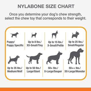 NYLABONE ORIGINAL DURABLE DOG WISHBONE REGULAR