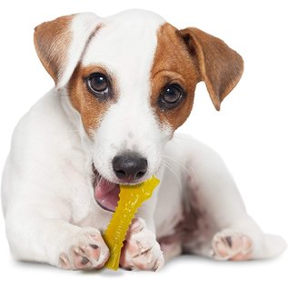 Central Garden and Pet Nylabone Puppy Chew Color Changing Mini Souper Bone