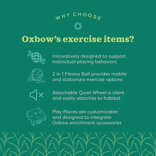 OXBOW ANIMAL HEALTH Oxbow Enriched Life 2 in 1 Fitness Ball