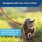 PetSafe Come With Me Kitty Harness and Bungee Leash LG