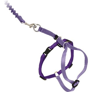 BRADLEY CALDWELL HOME GDN PetSafe Come With Me Kitty Harness and Bungee Leash SM