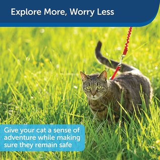 PETSAFE - GENERAL PetSafe Come With Me Kitty Harness and Bungee Leash Small