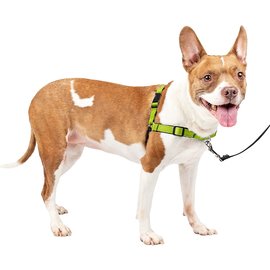 PetSafe Deluxer Easy Walk Harness Medium Apple