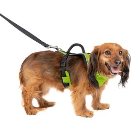 PETSAFE EASYSPORT DOG HARNESS X-SMALL APPLE