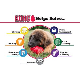 KONG COMPANY KONG - Puppy Toy Natural Teething Rubber Medium