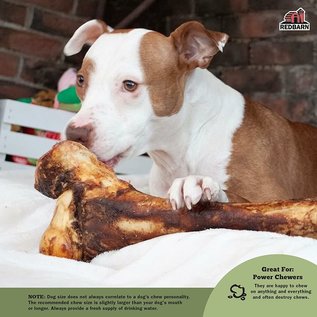REDBARN PET PRODUCTS INC REDBARN NATURALS MAMMOTH BONE DOG TREATS