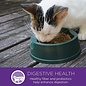 THE WELLNESS PET COMPANY Wellness Kittles Crunchy Cat Treats Salmon 2oz