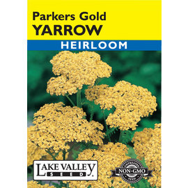 Lake Valley Seed YARROW PARKERS GOLD  HEIRLOOM
