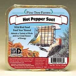 PINE TREE FARMS INC PINE TREE FARMS HOT PEPPER SUET 12OZ