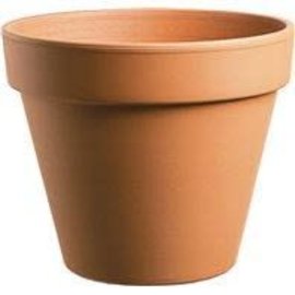 Deroma Standard Clay Pot 6"