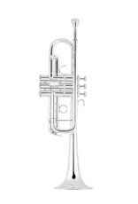 Vincent Bach Vincent Bach 190 Series C Trumpet