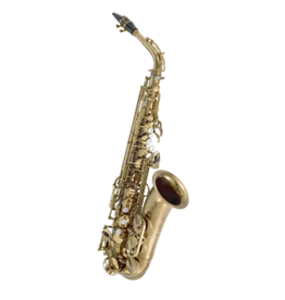 Zo Academy Alto Saxophone w/High F# - Lacquer Finish (ZOACAS)