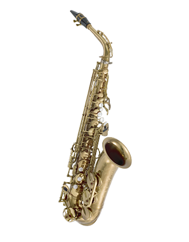 Wood Stone/Tenor Saxophone/New Vintage/Antique Finish Model - ISHIMORI Wind  Instruments