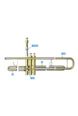 J Meinlschmidt J Meinlschmidt Slide Gel #7