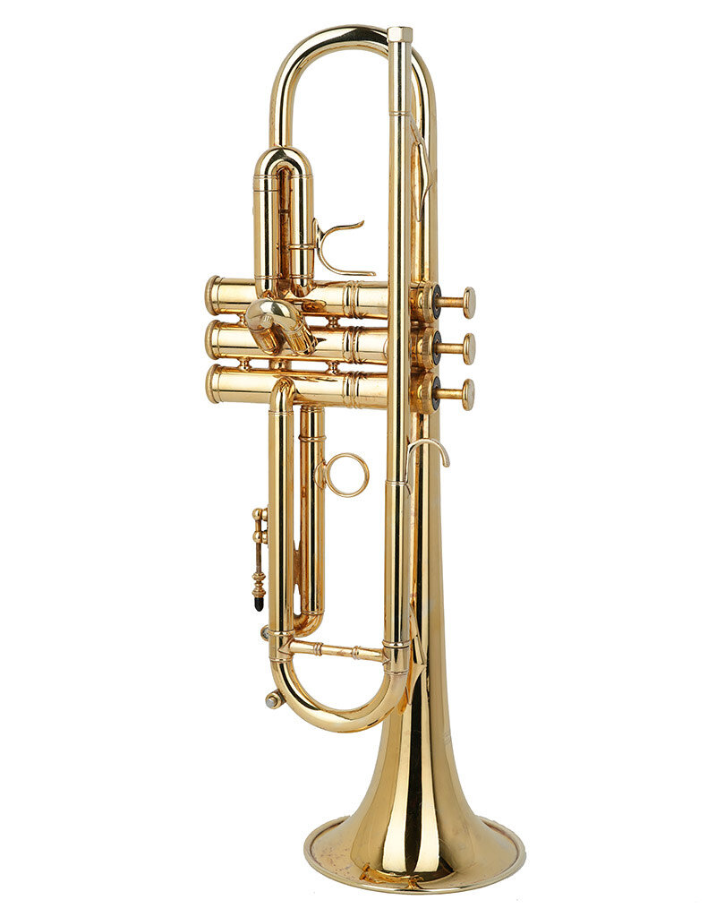 Flip Oakes Flip Oakes 'Wild Thing' Bb Trumpet- Gold Plate