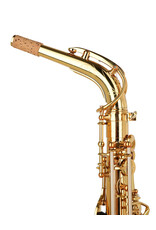Forestone Forestone RX Series Alto Saxophone Gold Lacquer