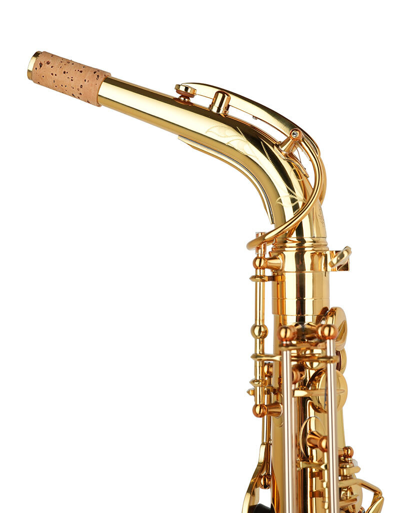 Forestone Forestone RX Series Alto Saxophone Gold Lacquer