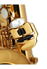 Forestone Forestone RX Series Alto Saxophone Gold Lacquer