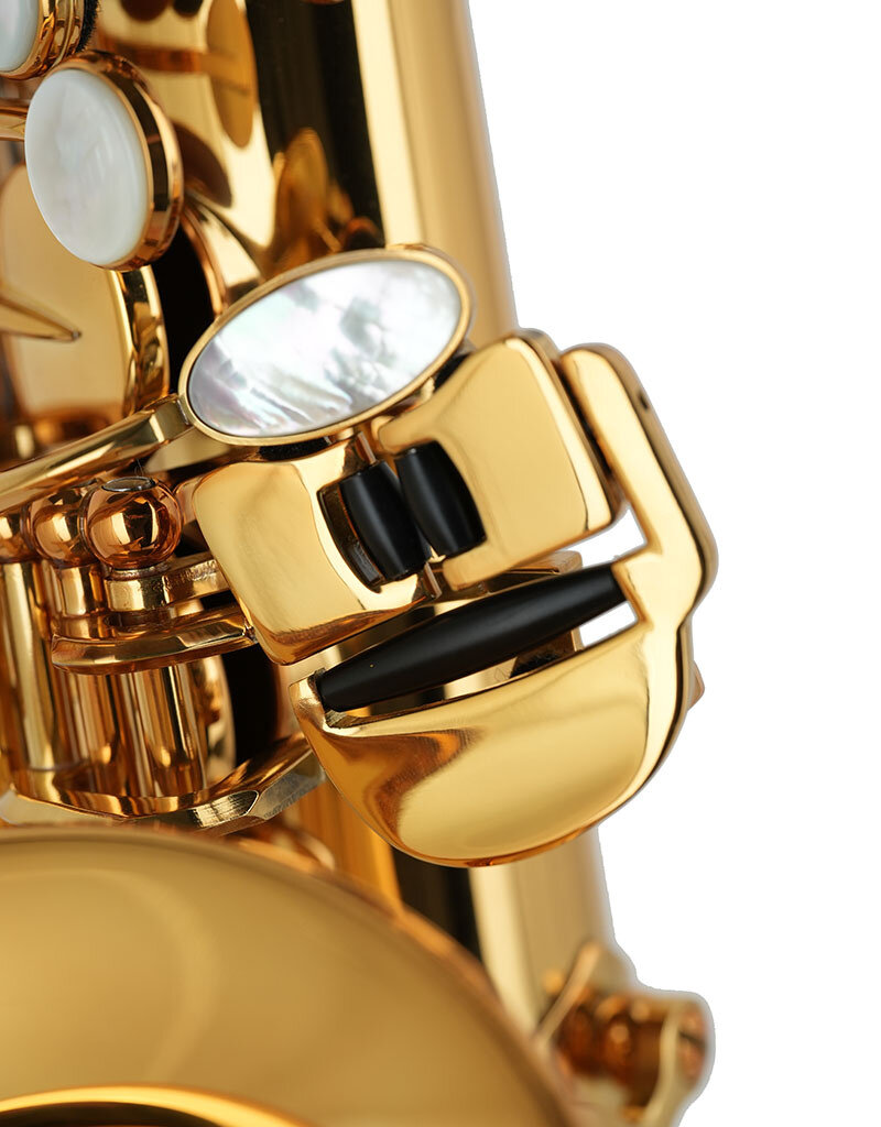 Forestone Forestone RX Series Alto Saxophone Gold Lacquer