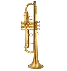 Edwards Edwards Generation II Bb Trumpet (Brushed Gold Plate)