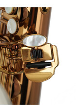 Forestone Forestone GX Tenor Saxophone Colors Series