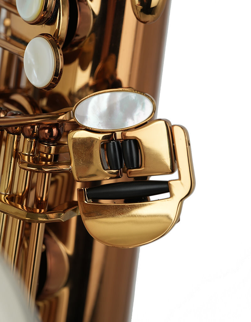 Forestone Forestone GX Tenor Saxophone Colors Series