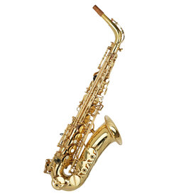 Yanagisawa Yanagisawa Professional Alto Saxophone