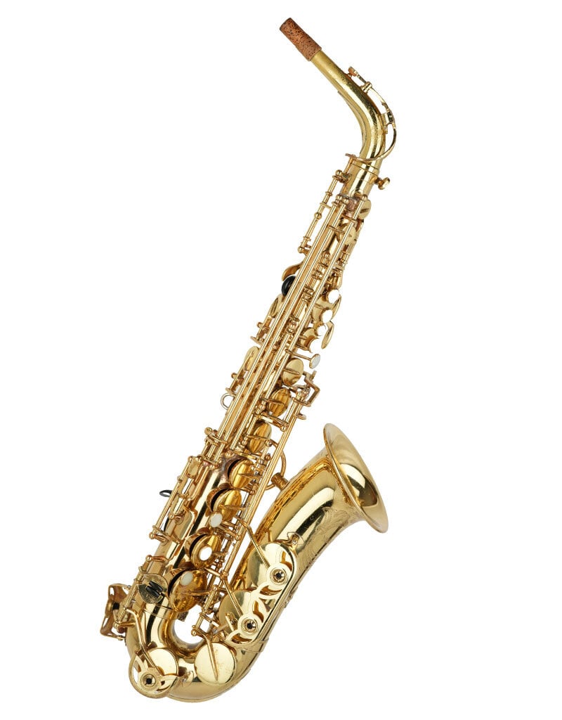 Yanagisawa Yanagisawa Professional Alto Saxophone