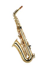 Yanagisawa Yanagisawa Professional Alto Saxophone