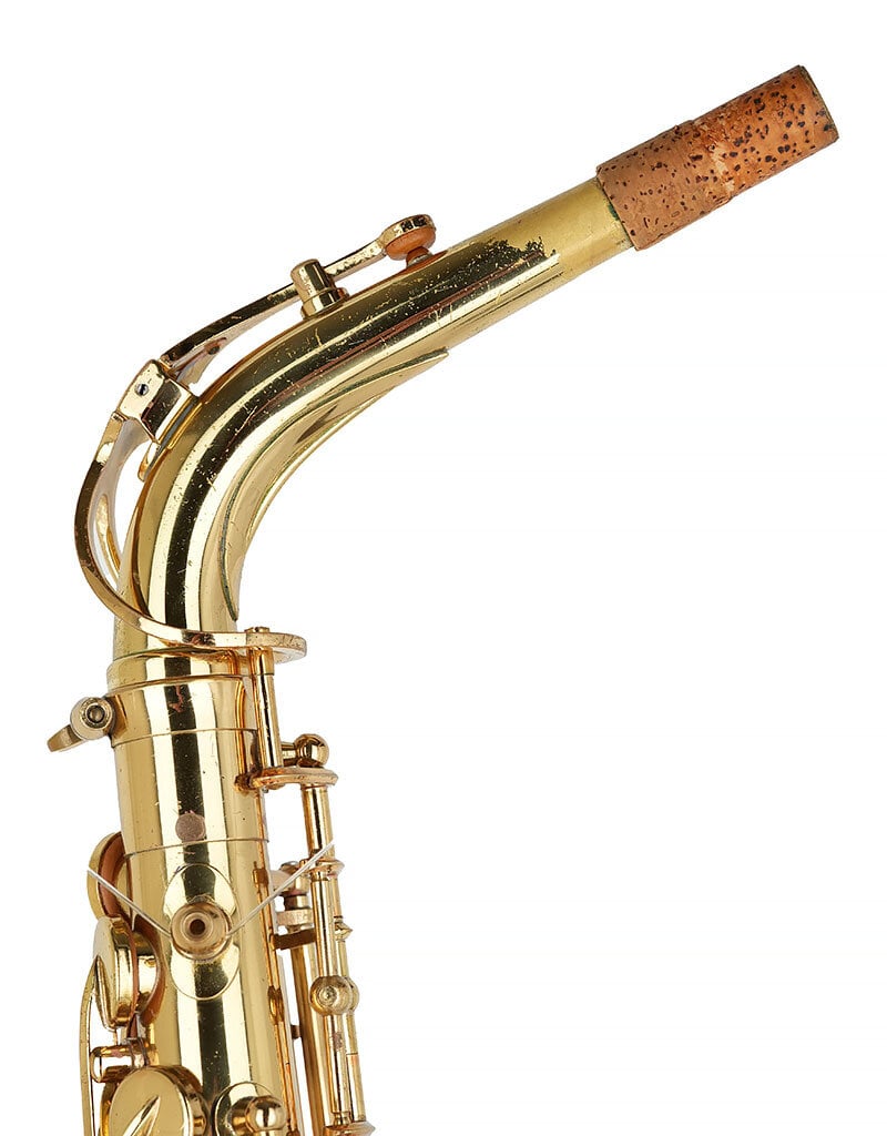 Yanagisawa Yanagisawa Professional Alto Saxophone