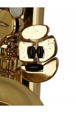 Yanagisawa Yanagisawa Professional Alto Saxophone