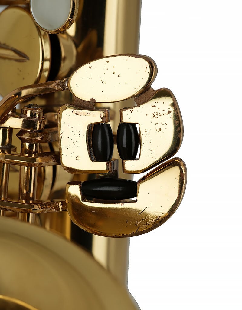 Yanagisawa Yanagisawa Professional Alto Saxophone